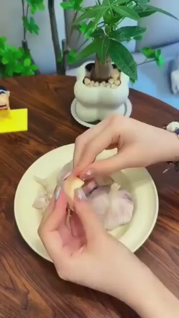 Automatic Garlic Peeler Machine for Kitchen